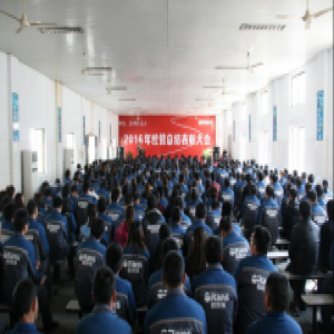 欧路莎卫浴举行2016经营总结表彰大会