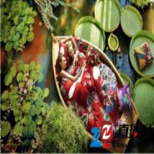 艾莱依家纺2017全国招商火爆进行中