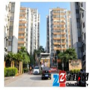 智乐居APP入驻中房碧翠园 开启社区服务新模式