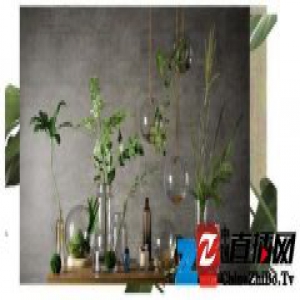 INKIVY玻璃景观瓶 春天里的伊甸园