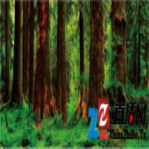 强化地板有奥秘！圣象给你与众不同！