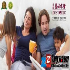 蕾丝2016年销售冠军床垫，独领中硬床垫市场