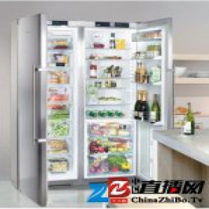 Liebherr利勃海尔无霜系统让冰箱除霜成为过去！