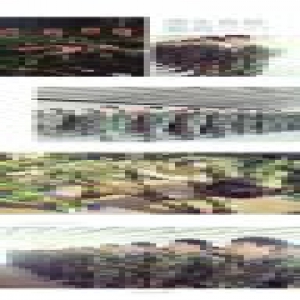 法恩莎瓷砖“勇往直前，赢战2017”户外拓展特训营圆满落幕