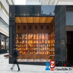 118 只纸鸟在伦敦展出，是为了纪念 400 年前的生活方式