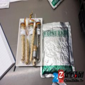 因为气候和政治不稳定，科学家又在北极存了 5 万份种子