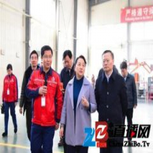 湖南省委副秘书长、省编办主任魏旋君调研岳阳东方雨虹