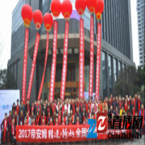 热烈祝贺帝安姆2017“精进·跨越”经销商商务年会圆满落幕！