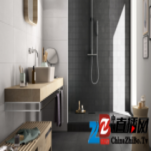 瓷砖色彩巧搭配 打造独具气质的卫生间