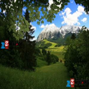 施蒂利亚橡木森林，大自然对维也纳的恩赐