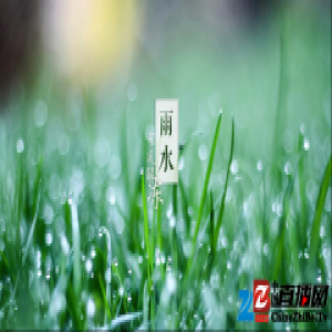 皮皮虾我们走，雨水节气防潮大招在我手！