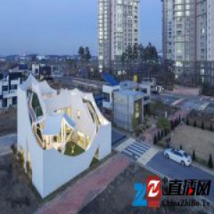 一个飞行员给自己盖了幢房子，已经不能用“不规则”来形容