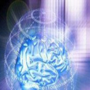 2017奥斯卡大奖揭晓，群集智能AI成功预测12项(技术解析)