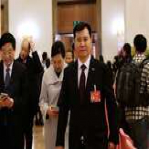 张近东：建议通过顶层设计 突破流通业贸易壁垒