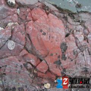 这块迄今最古老的化石，也许能告诉我们生命形成的最早时间