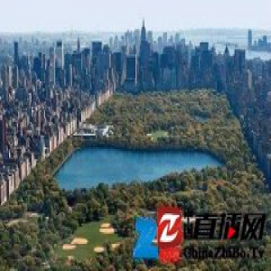 经济学家：美国房地产市场强劲表现将延续