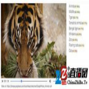 Google 的云计算用了更多人工智能，都是为了卖服务