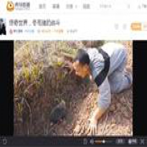 直播猎捕野生动物 数十万人观看 国家林业局：将严打