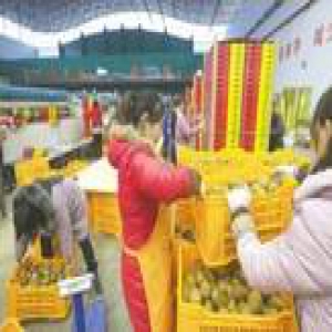 电子商务法纳入今年立法任务 第三方平台责任引关注