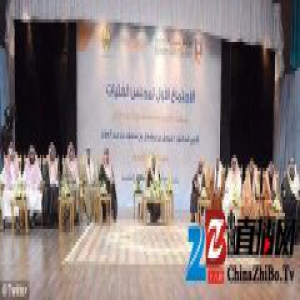 「这世界」沙特办了场没有妇女的妇女大会，结果可想而知