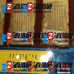 “成吉思汗文献博物馆”成专家研究权威地