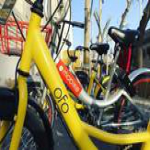 给“共享单车”算一笔账，未来18个月见生死