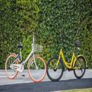 这是共享单车惹首起索赔官司？用户摔伤索赔2万