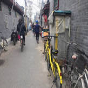 北京西城10条大街禁停共享单车