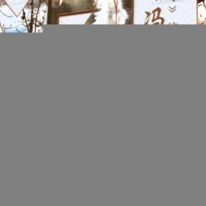 《春夏秋冬》特种邮票发行 冯骥才赞二十四节气申遗成功