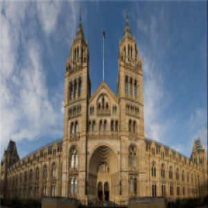 走近大卫地板 感受欧洲艺术的魅力