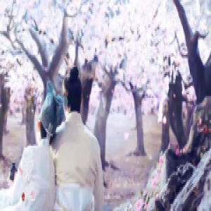 我想给你“装”下整个春天，不负春光不负卿