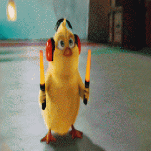 精英白领裸辞闯西藏 一见钟情于他还共同搭建爱巢