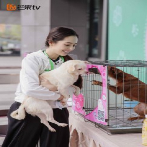 《女儿2》郭碧婷向佐暖心倡导宠物领养