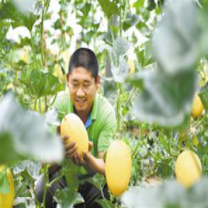 科技推广助力农业提质增效