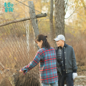 《亲爱的客栈2》刘涛王珂首次体验火墙 烫得尖叫