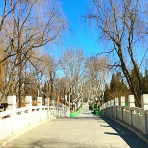 【春天的故事·遇见京津冀】京津冀协同发展 今昔对比展现红桥区腾飞巨变