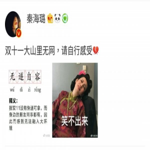 秦海璐幽默调侃双十一 网友：我帮你我有WiFi