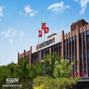 打造国内有竞争力的专业资产管理者和综合金融服务商