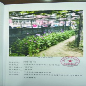 小区里种660株罂粟 男子获缓刑