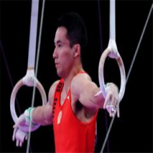 邓书弟吊环金牌 日本的野野村夺得银牌