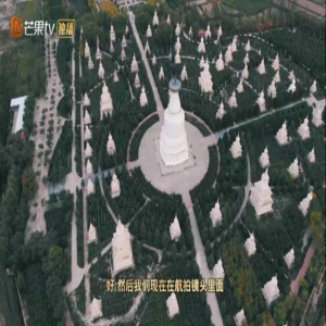 《在那遥远的地方》走进武威 在荒漠中寻找生机