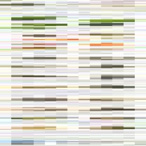 【图解】“与棕不同”过端午，关于粽子的包法你知道多少？