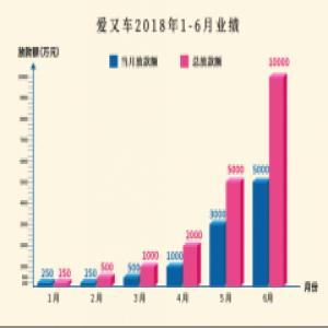 爱又车半年进军31省 汽车金融业务总销售额破亿元