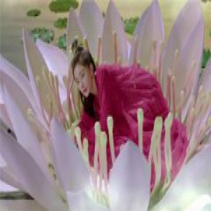 元皇后为了扶摇服毒自杀 长孙迥殉情