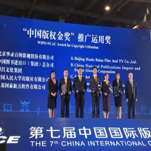 华录百纳荣获中国版权金奖之“推广运用奖”