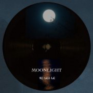  徐磊乐：我想你看过最美的月光，就是回家的方向