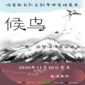 鸡蛋面乐队全新单曲《候鸟》即将袭来，逐梦海洋奔赴远方