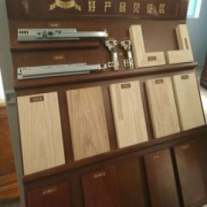 "聚势谋远 未来已来"阿洛尼2016年媒体交流会召开