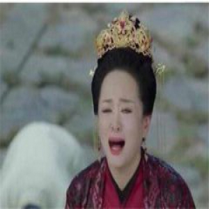 元皇后为保护无极 临死前说无极是长孙迥亲生的