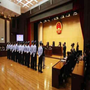 原村支书等14人涉案！一黑社会性质犯罪案一审判决